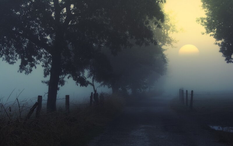 Foggy Road at Sunrise — Yellow