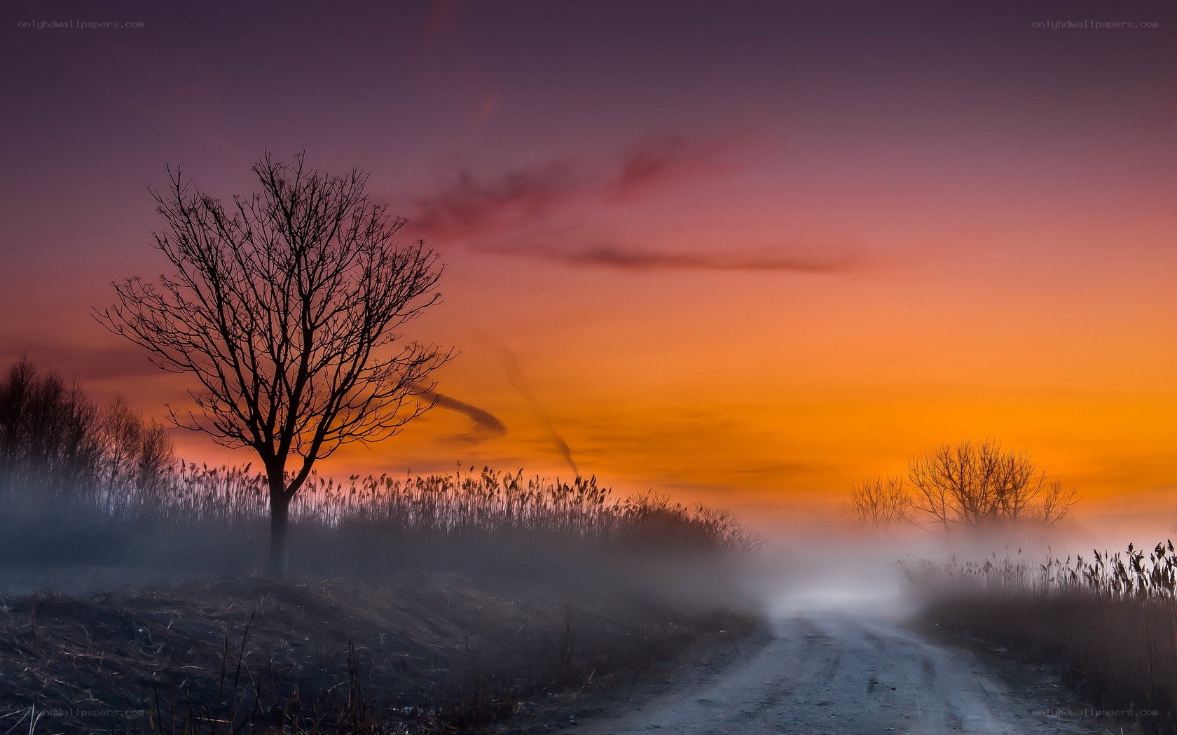 Foggy road at sunset
