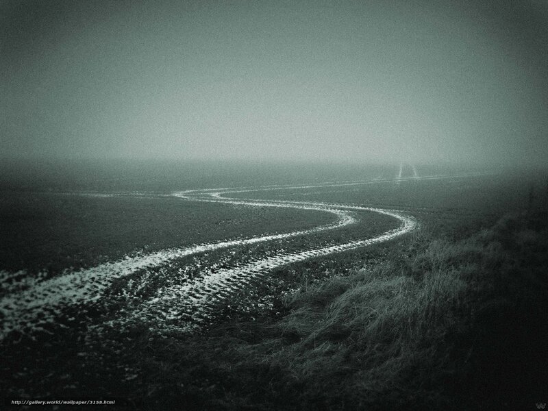 Foggy Road in a Field