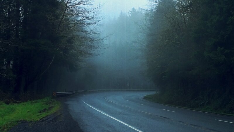 Foggy road in a forest
