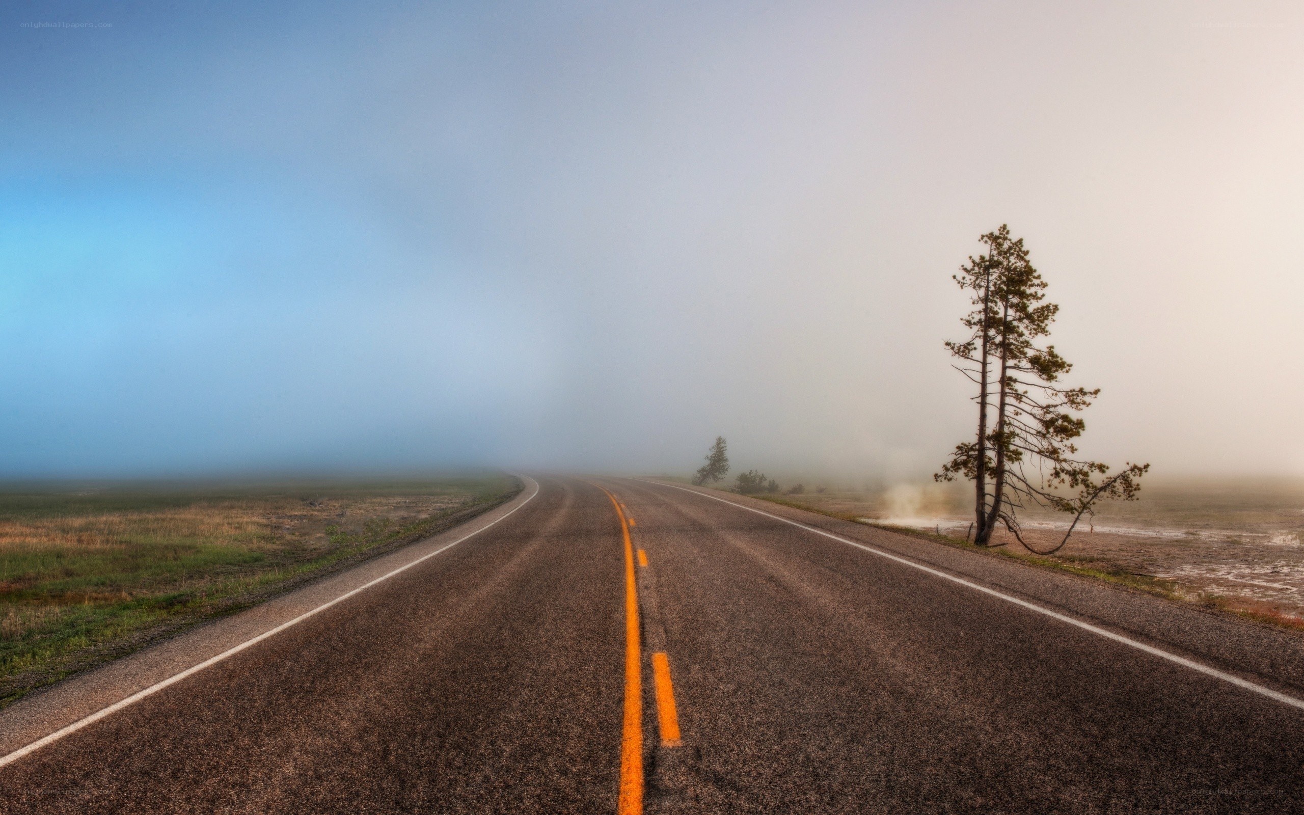 Foggy road in a misty landscape