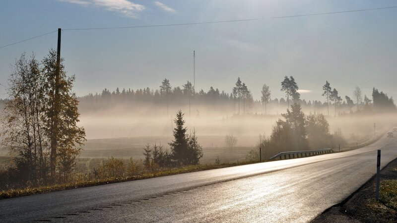 Foggy Road in Autumn — Gray