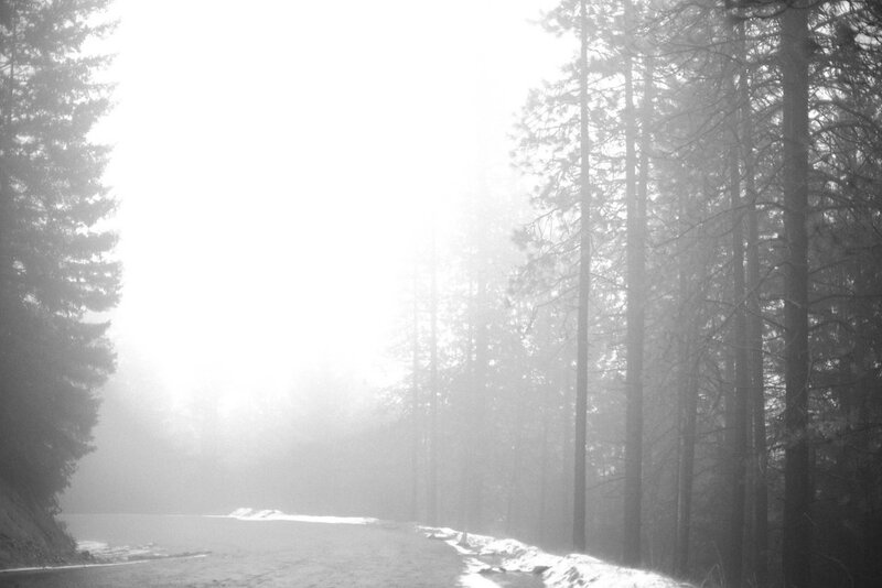 Foggy Road in Forest — Black