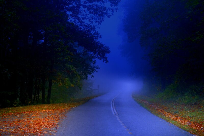 Foggy Road in Forest — Blue
