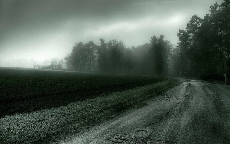 Foggy Road in Forest — Gray, Dreary