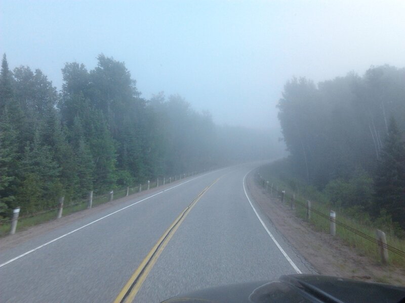 Foggy Road in Forest — Gray