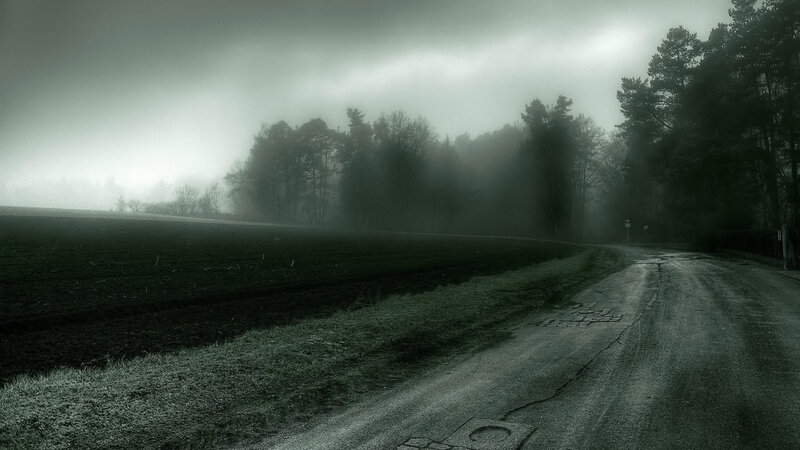 Foggy Road in Forest — Green