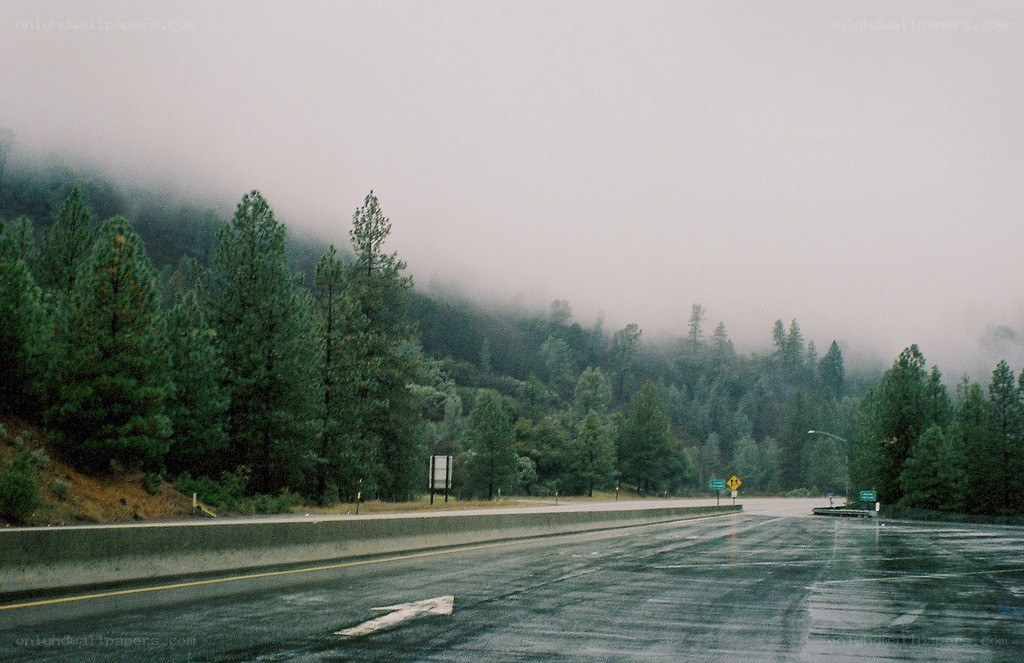 Foggy road in forested mountains