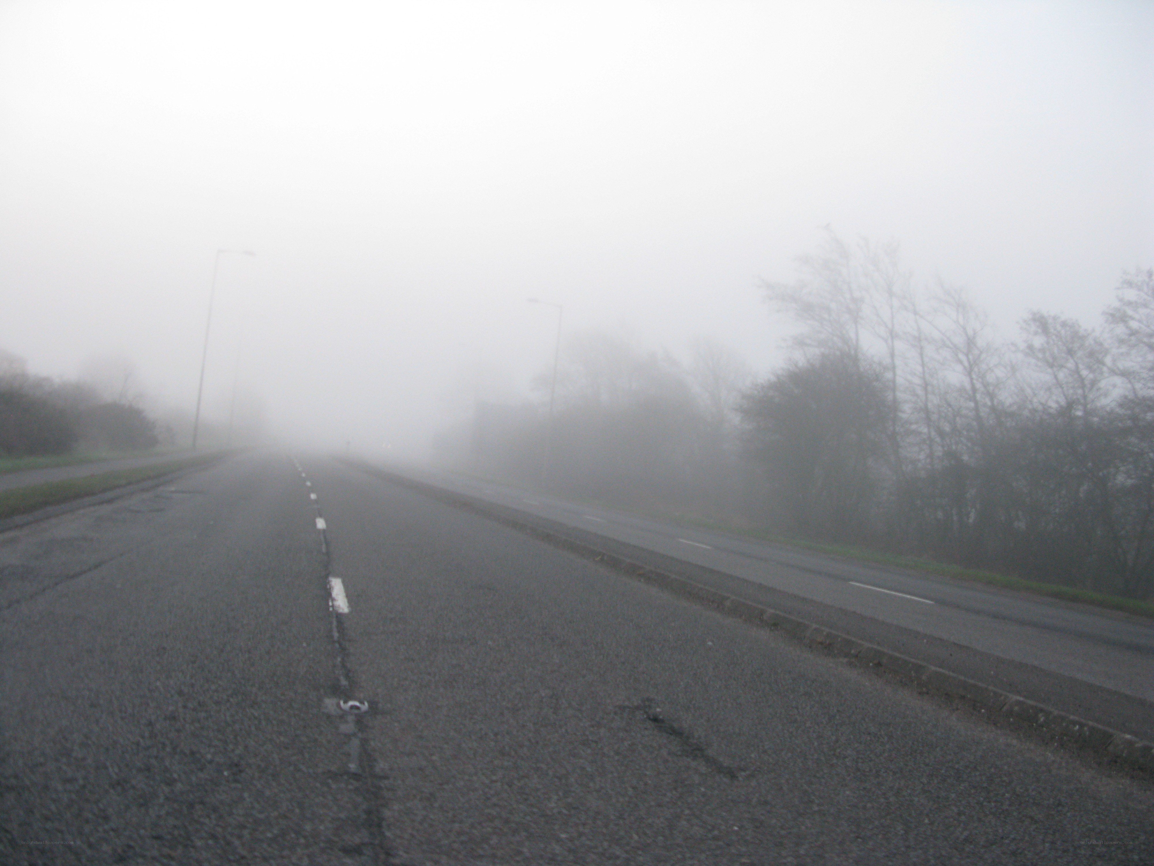 foggy road in mist