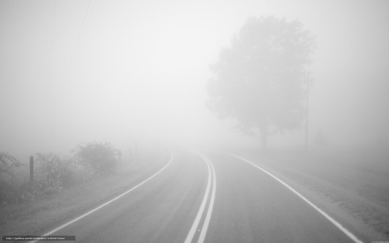 Foggy road in morning mist