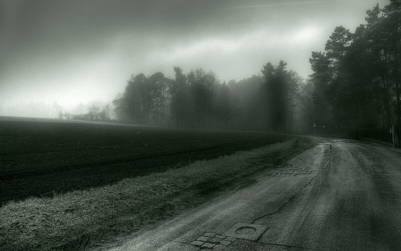 Foggy road in rural landscape