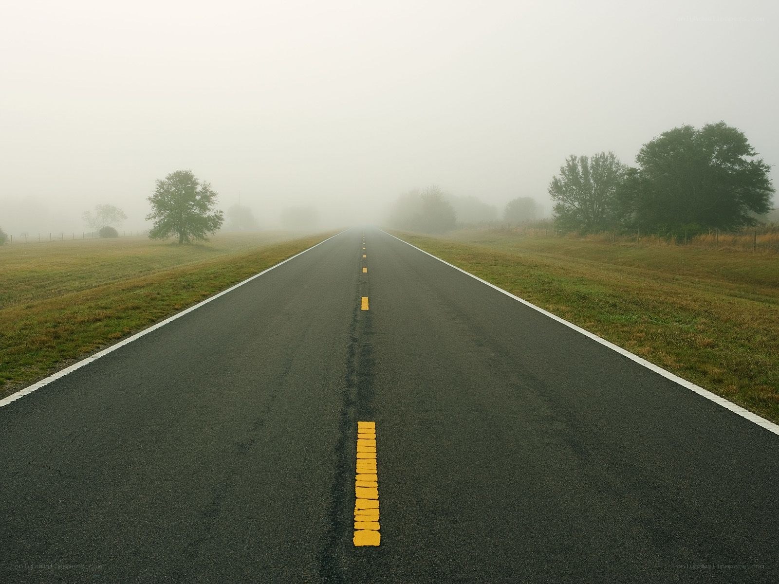 Foggy road in the countryside