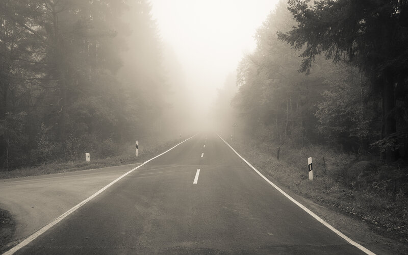 Foggy road in the forest