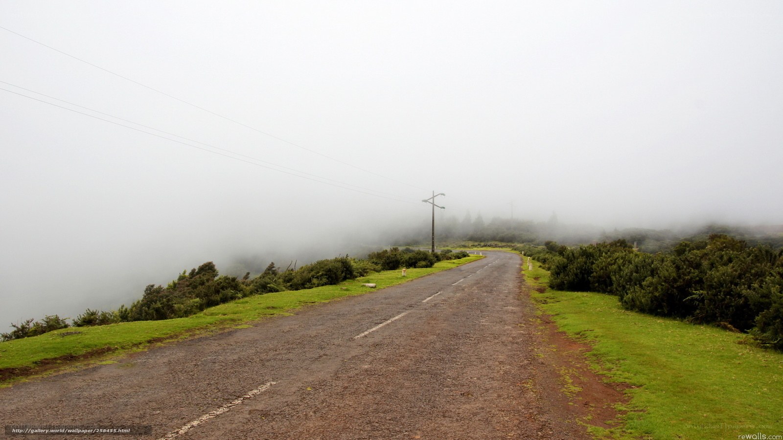 Foggy road in the mist