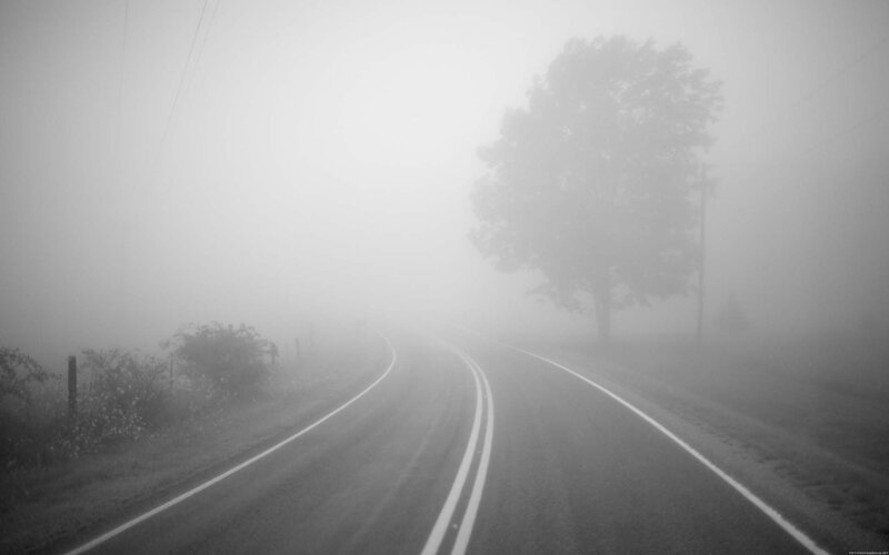 Foggy road in the morning