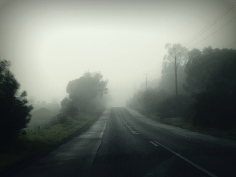 foggy road in the morning
