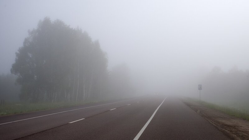 Foggy road in the morning