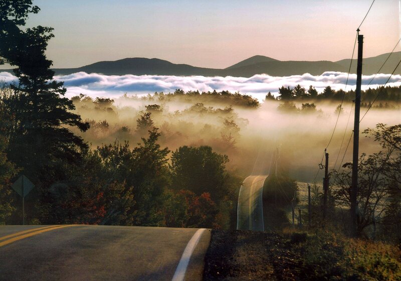 Foggy Road in Valley — Green