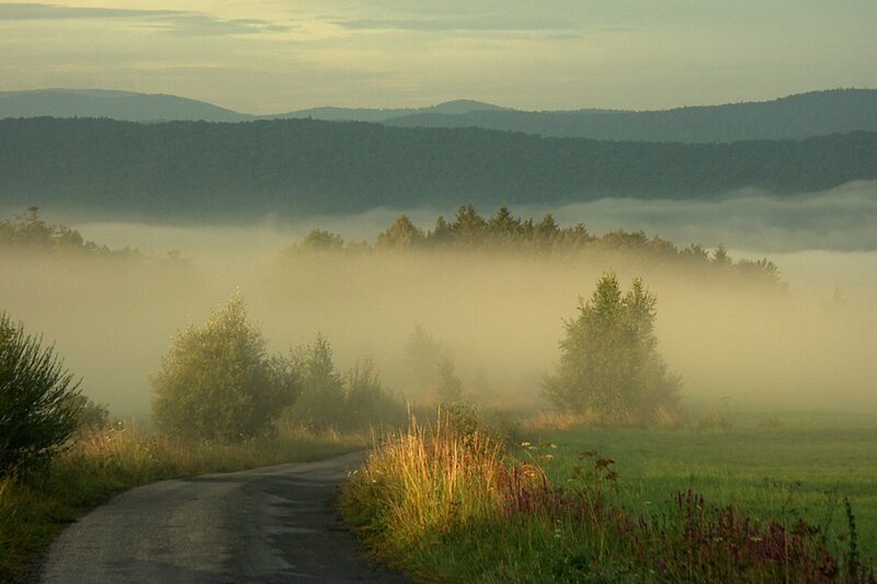 Foggy Road in Valley
