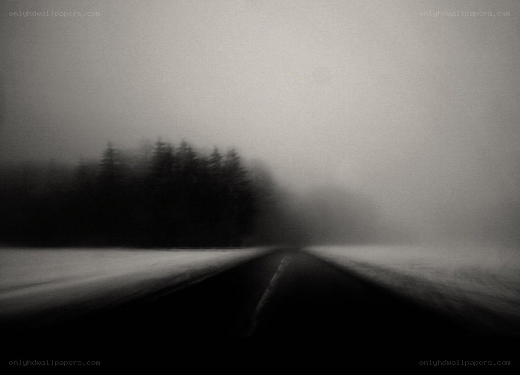 foggy road in winter