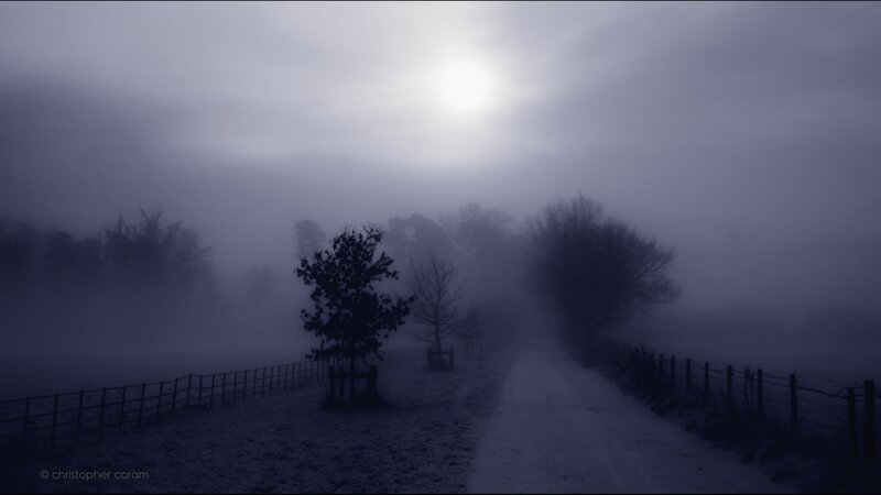 Foggy Road in Winter — Blue