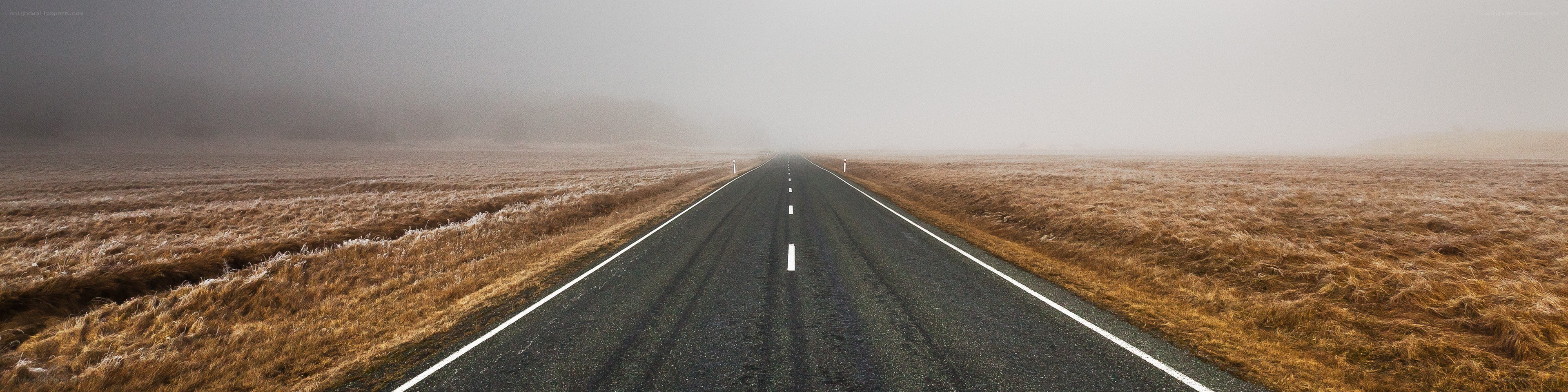 foggy road stretching into distance
