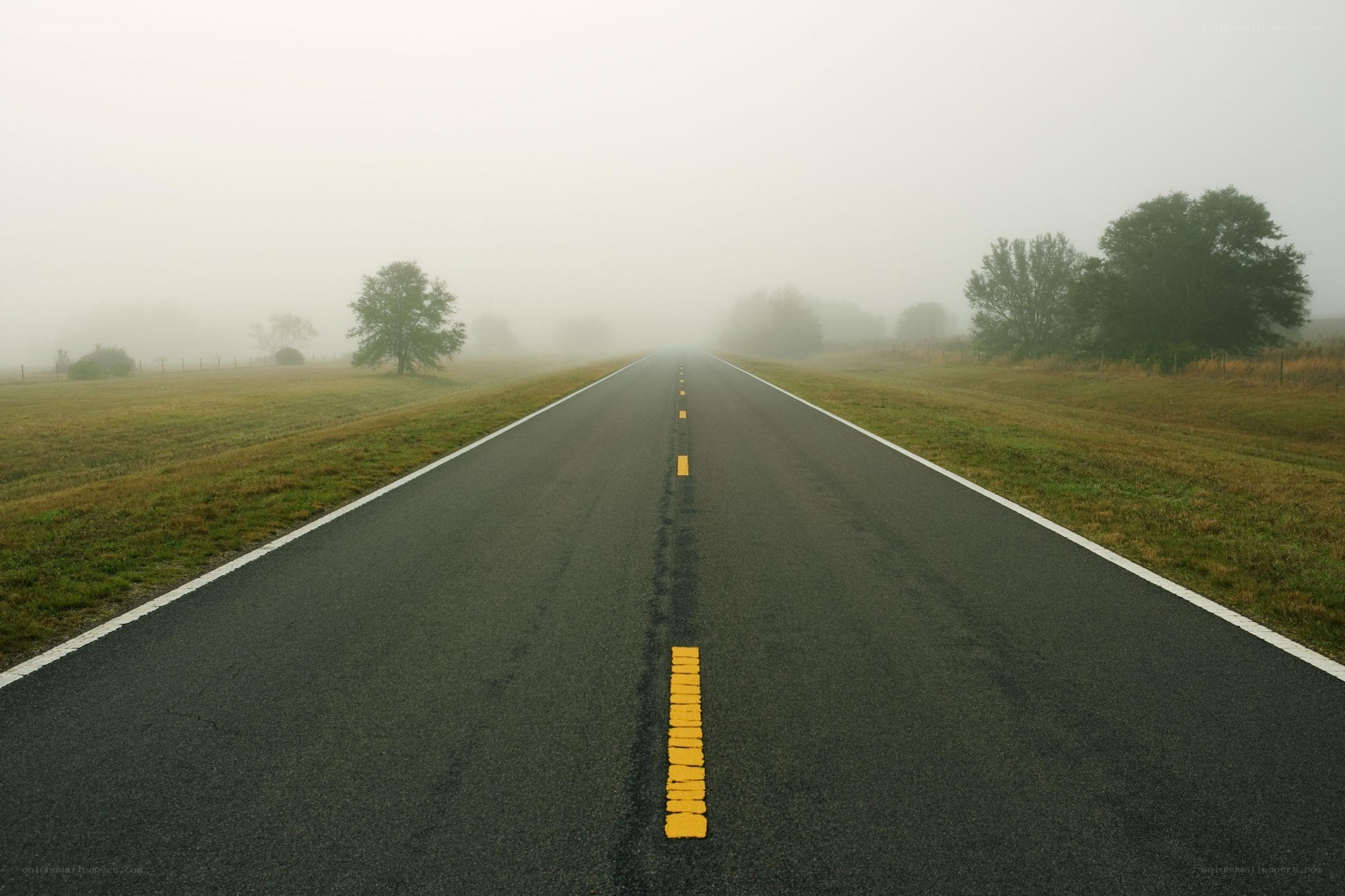 Foggy road stretching into distance