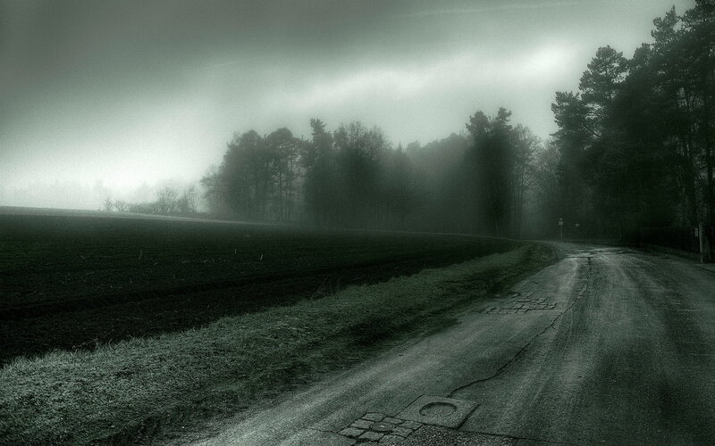 Foggy road through a forest