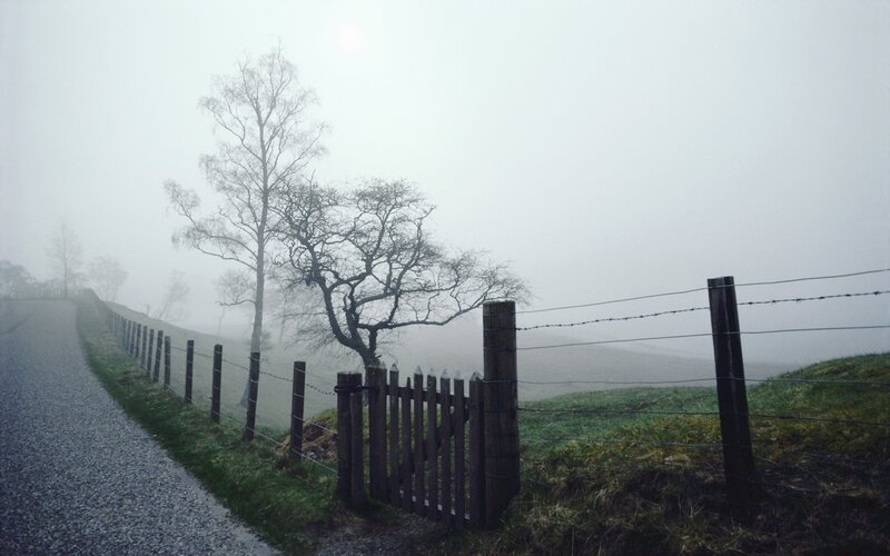 Foggy road with fence and trees