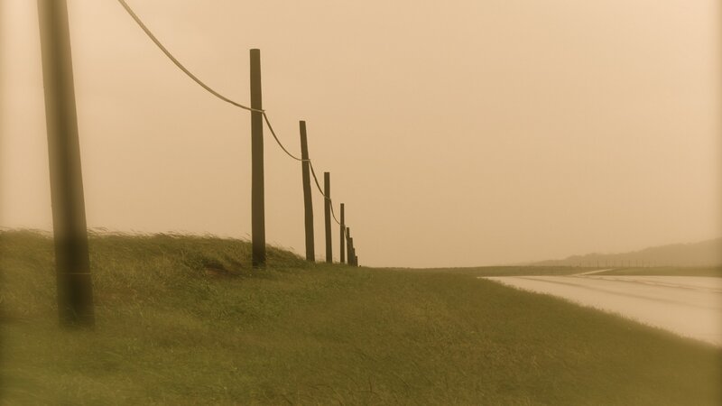 Foggy road with fence poles