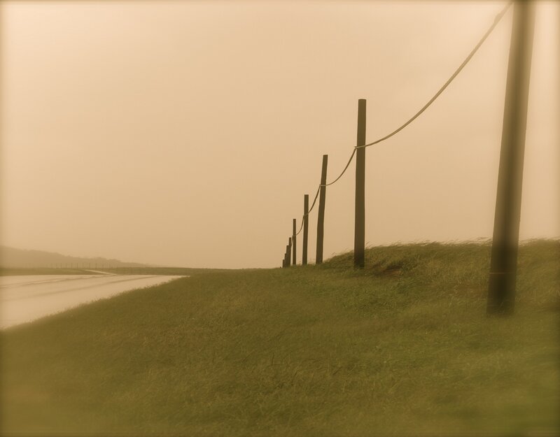 Foggy road with fence poles