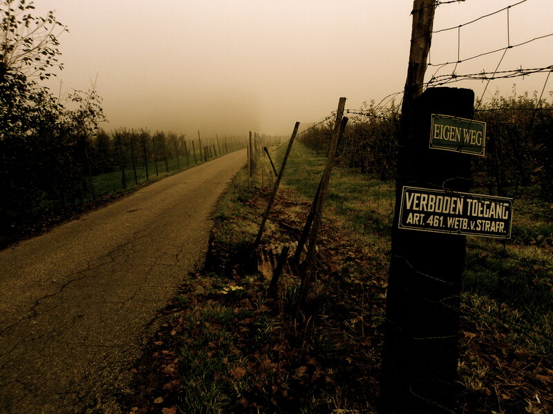 Foggy Road with Signs