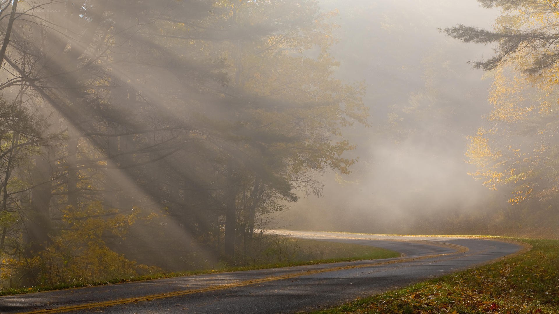 Foggy road with sunbeams