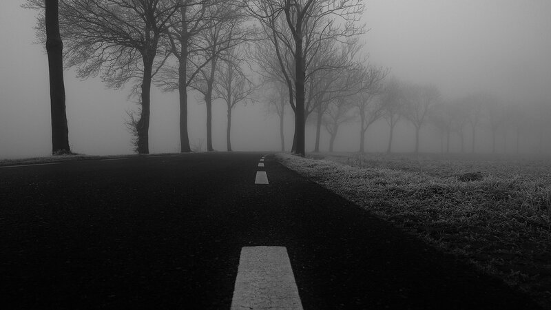 Foggy Road with Trees — Black, Misty