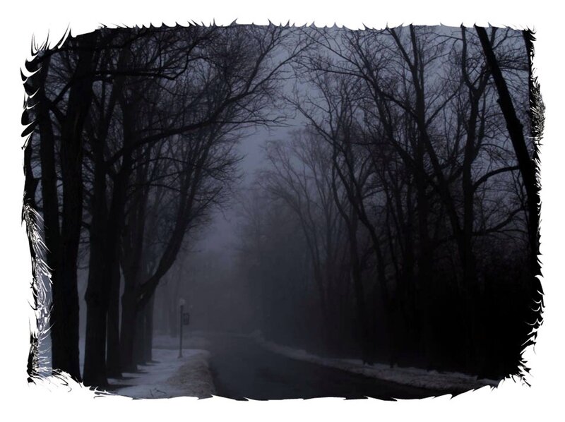 Foggy Road with Trees — Black