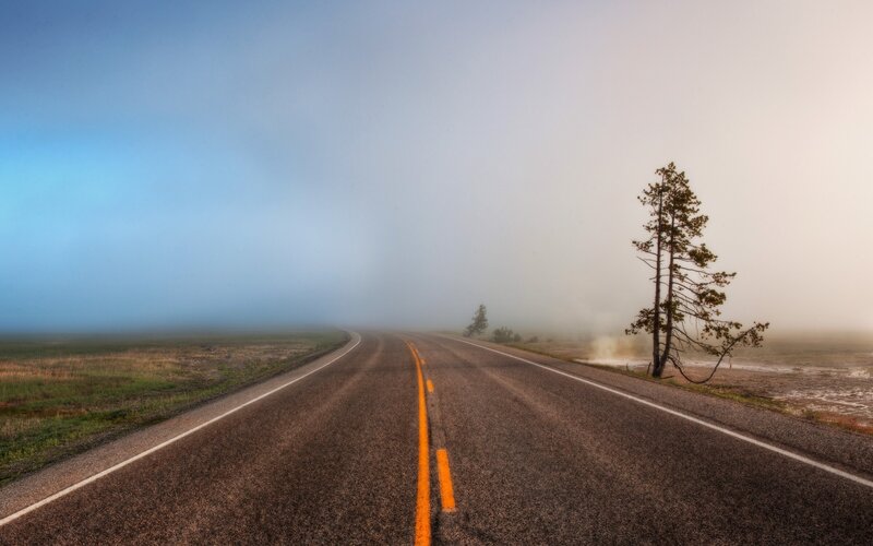 Foggy Road with Trees — Blue