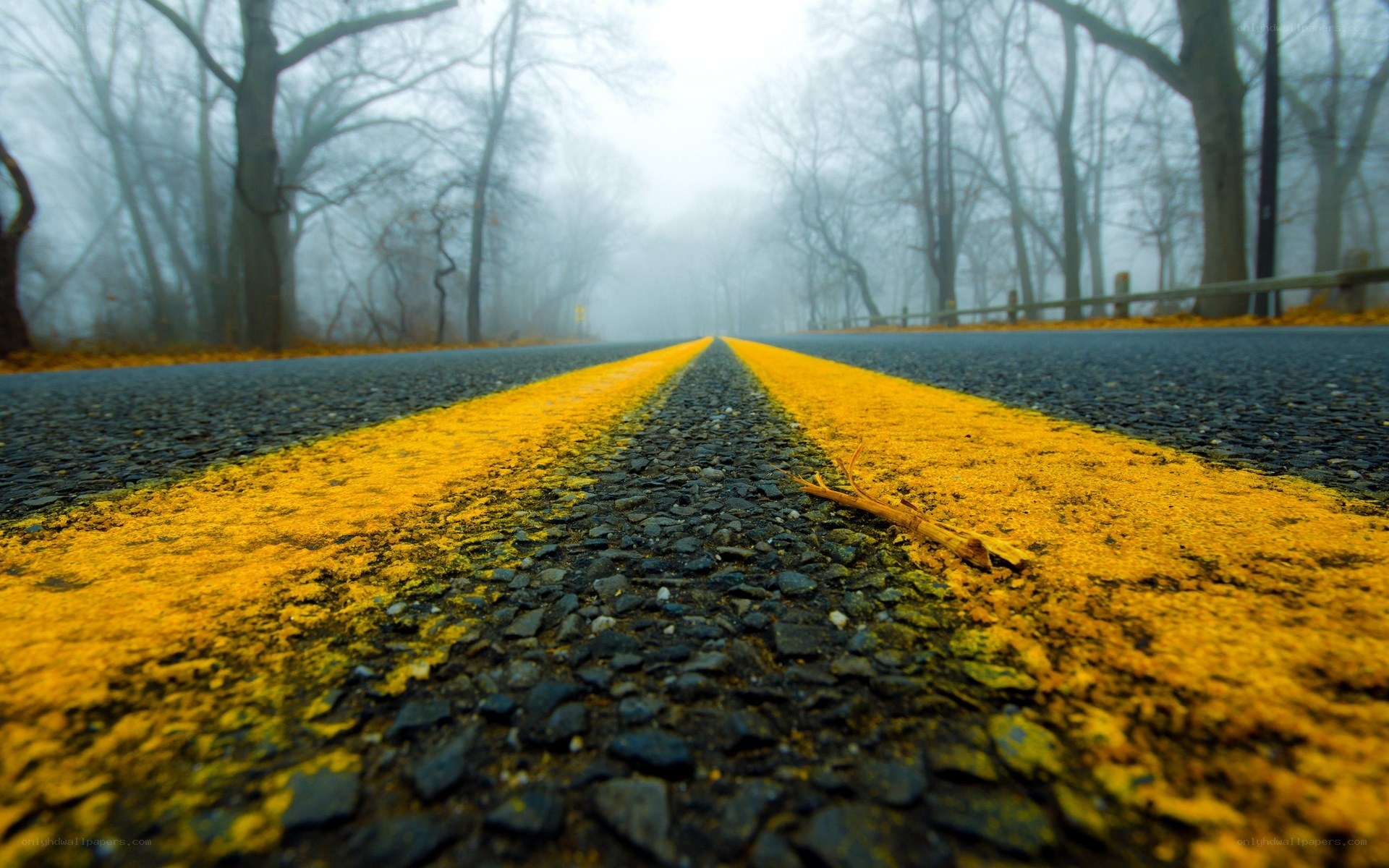 Foggy road with yellow lines