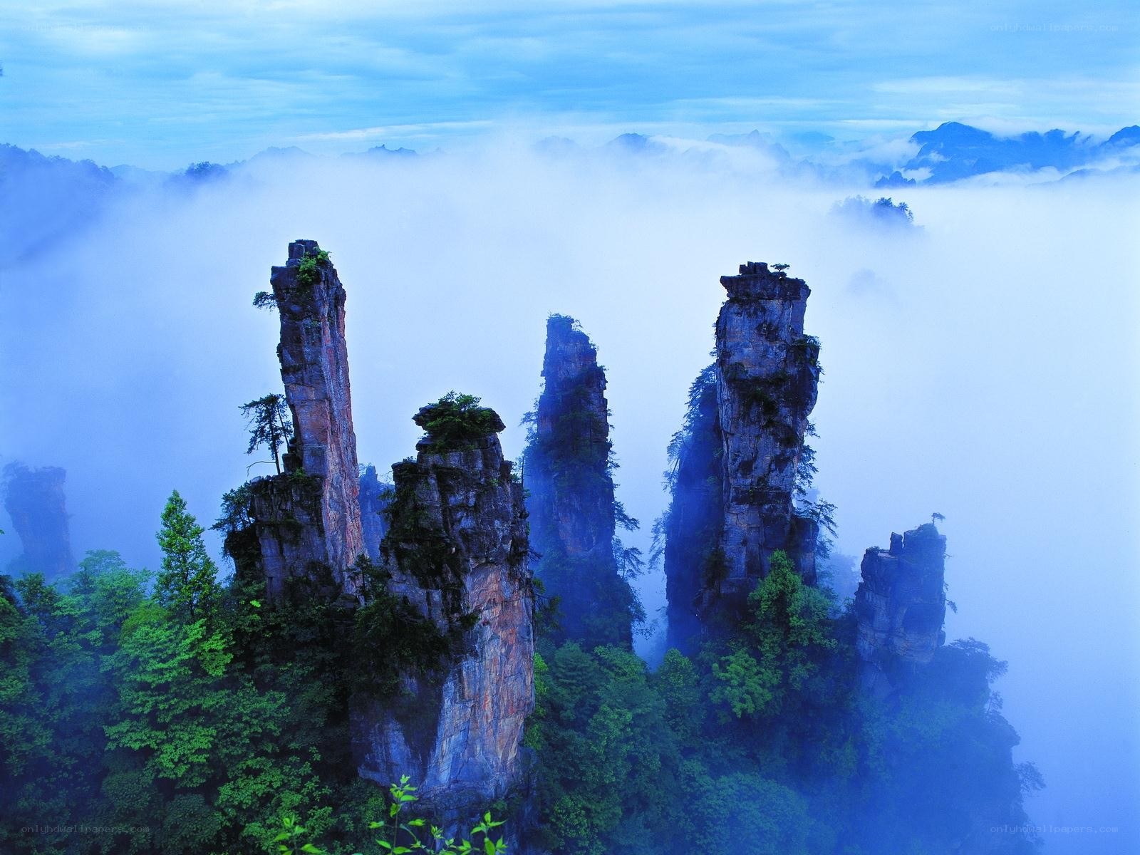 Foggy rock pillars in a forest