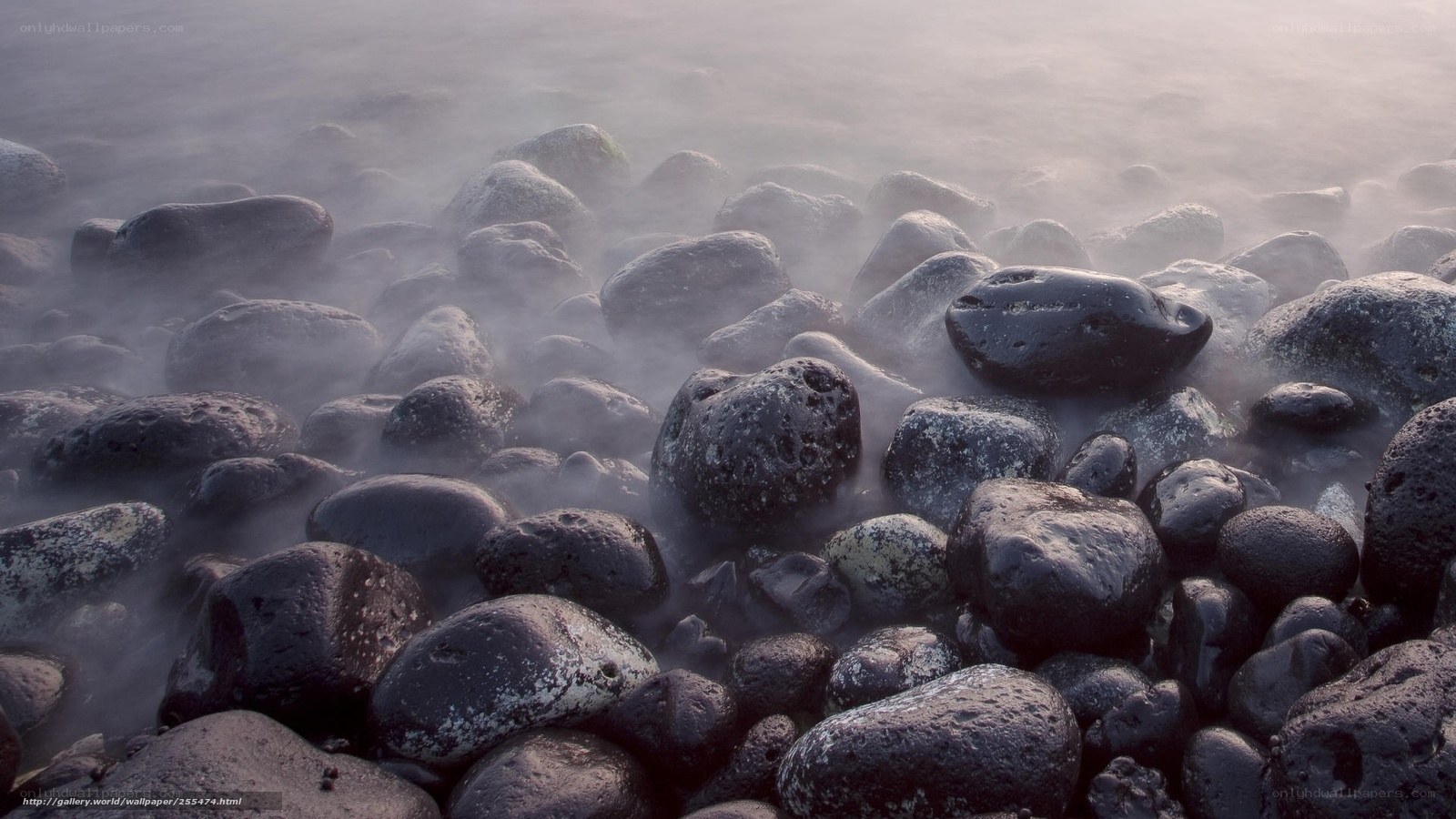 Foggy rocks at the shoreline