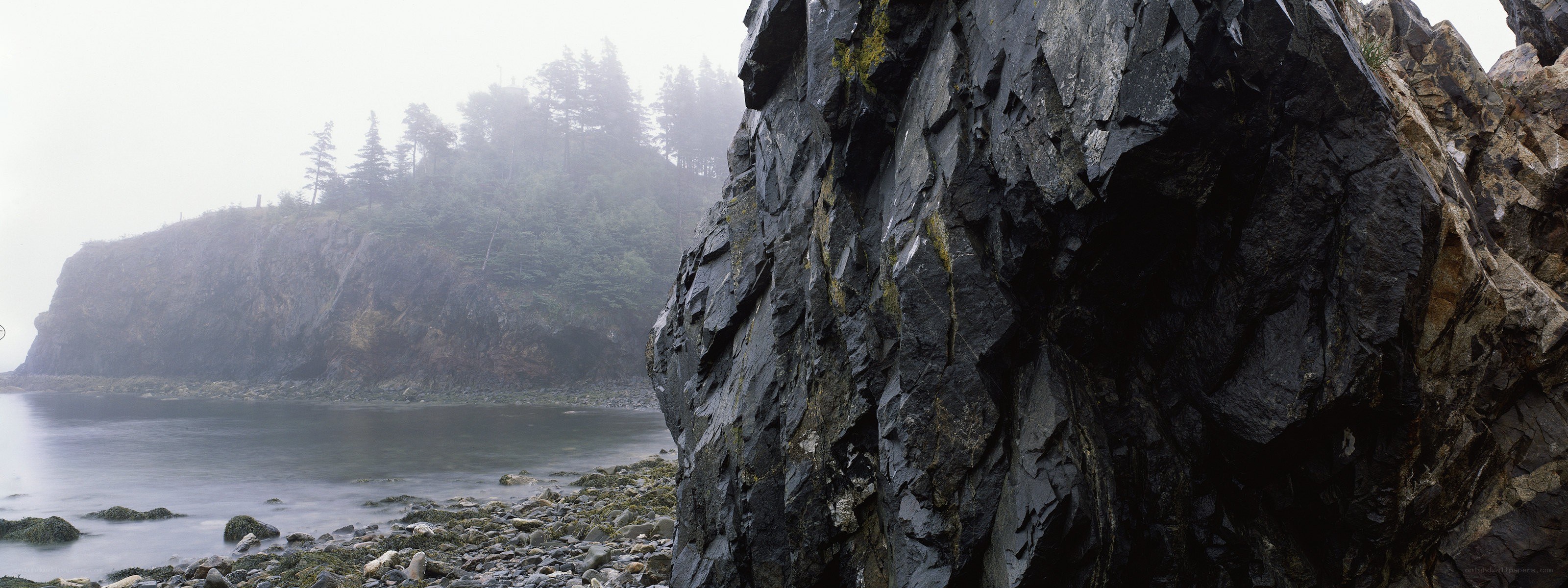 foggy rocky coastline