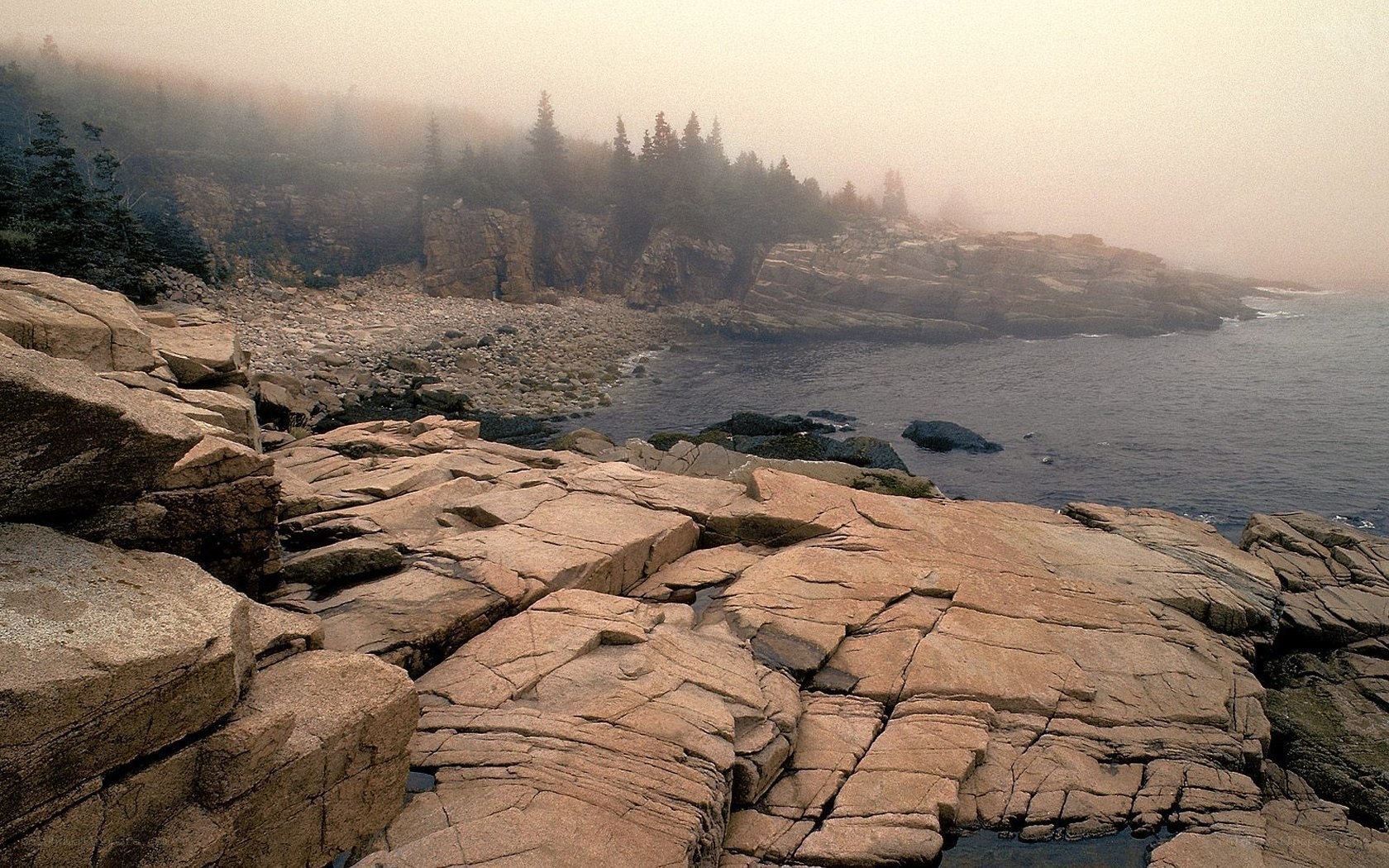 foggy rocky coastline
