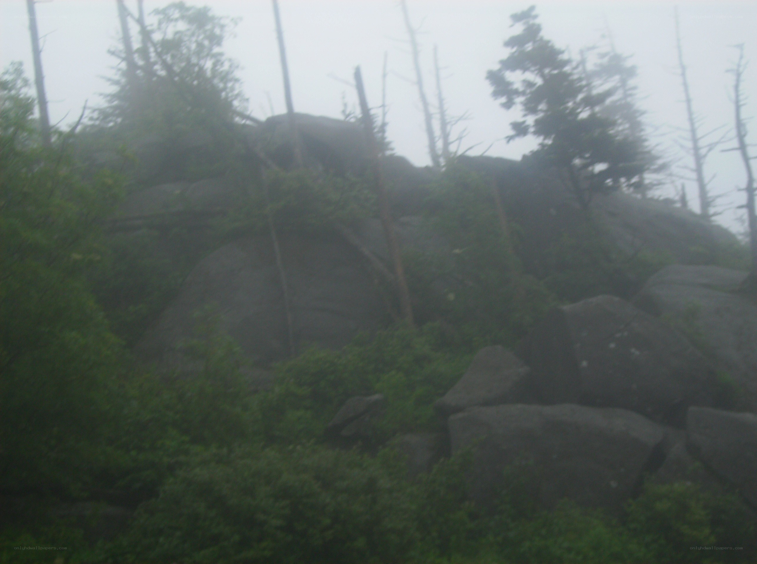 foggy rocky hillside