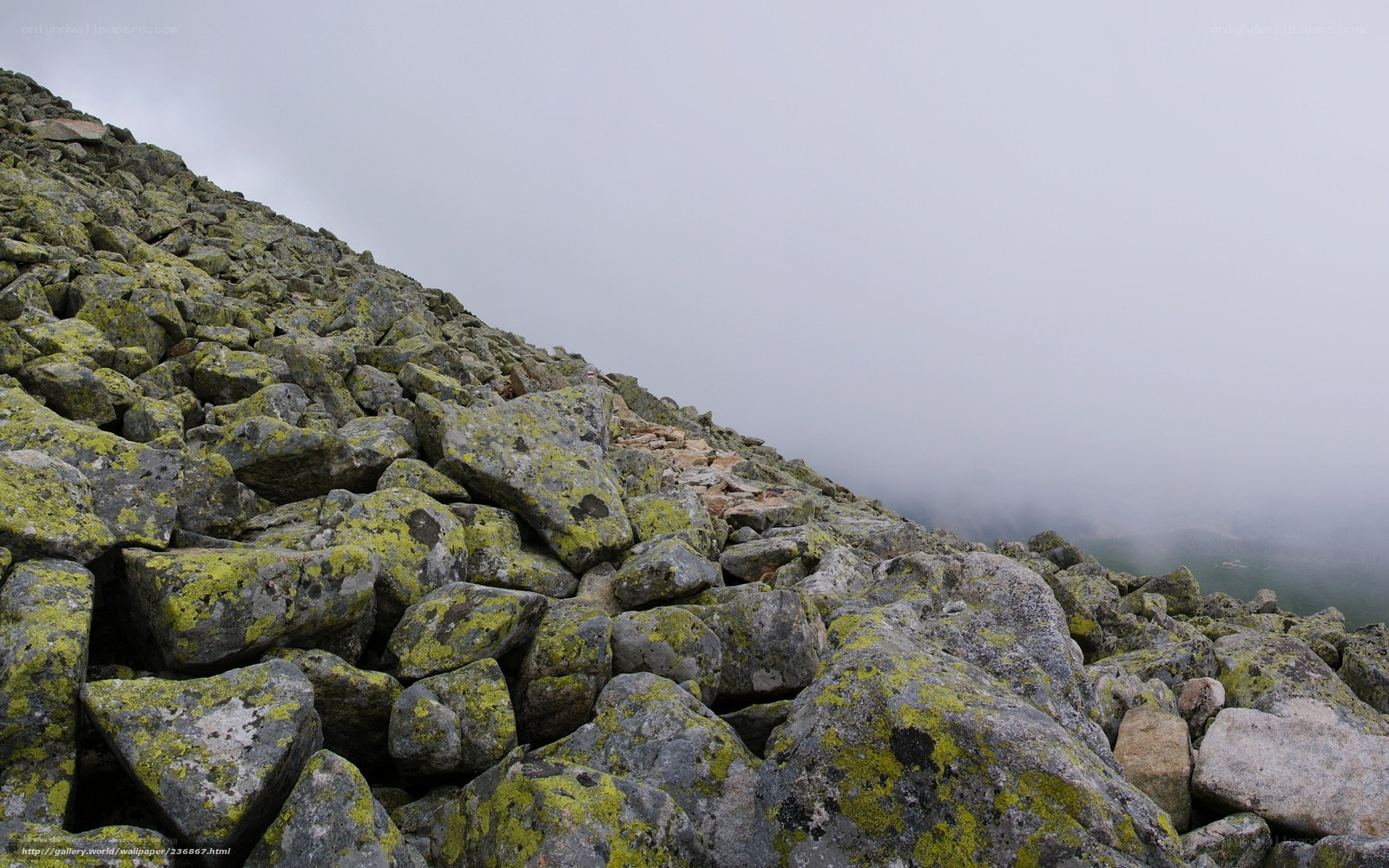 Foggy rocky mountain slope