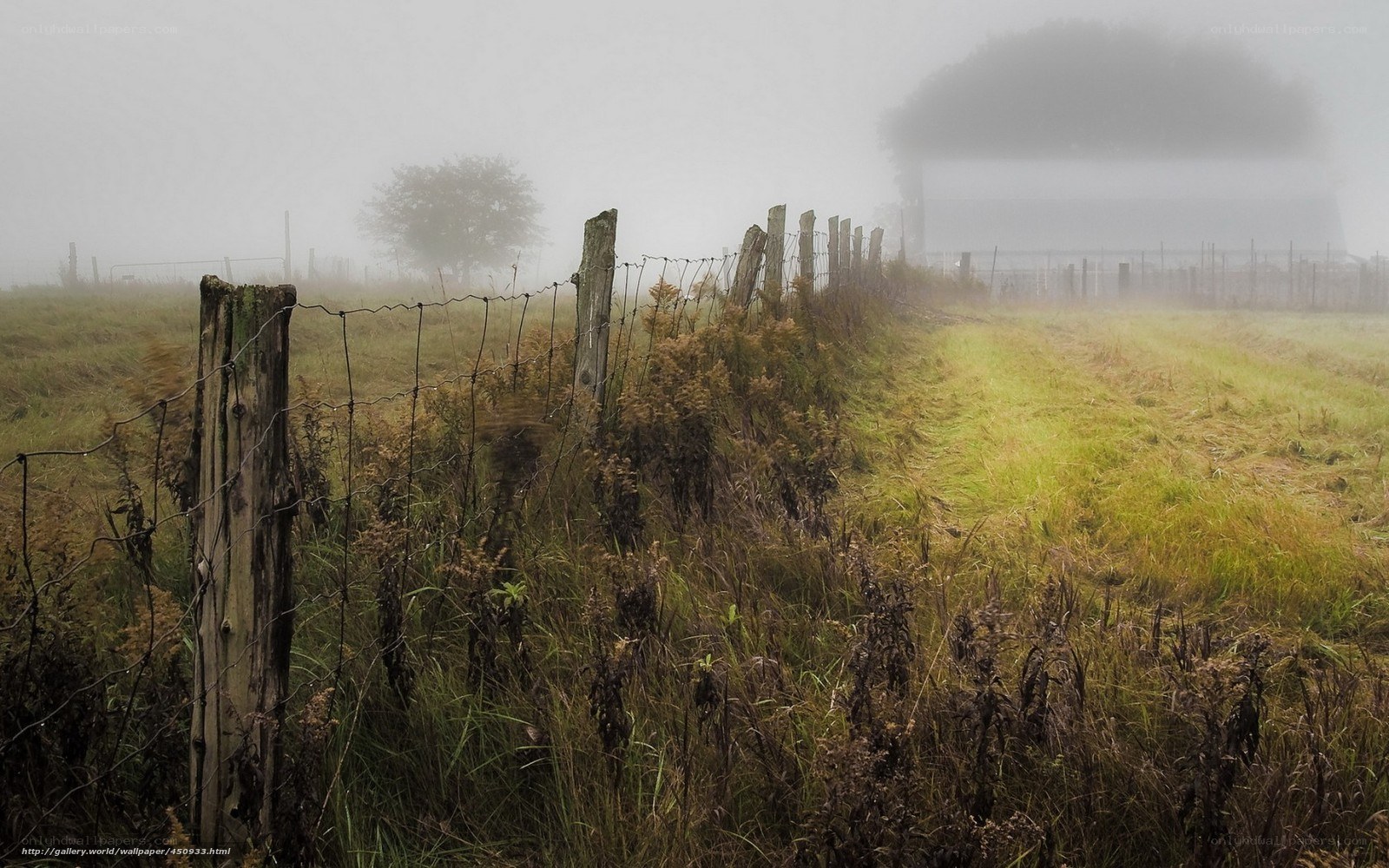 Foggy rural fence path