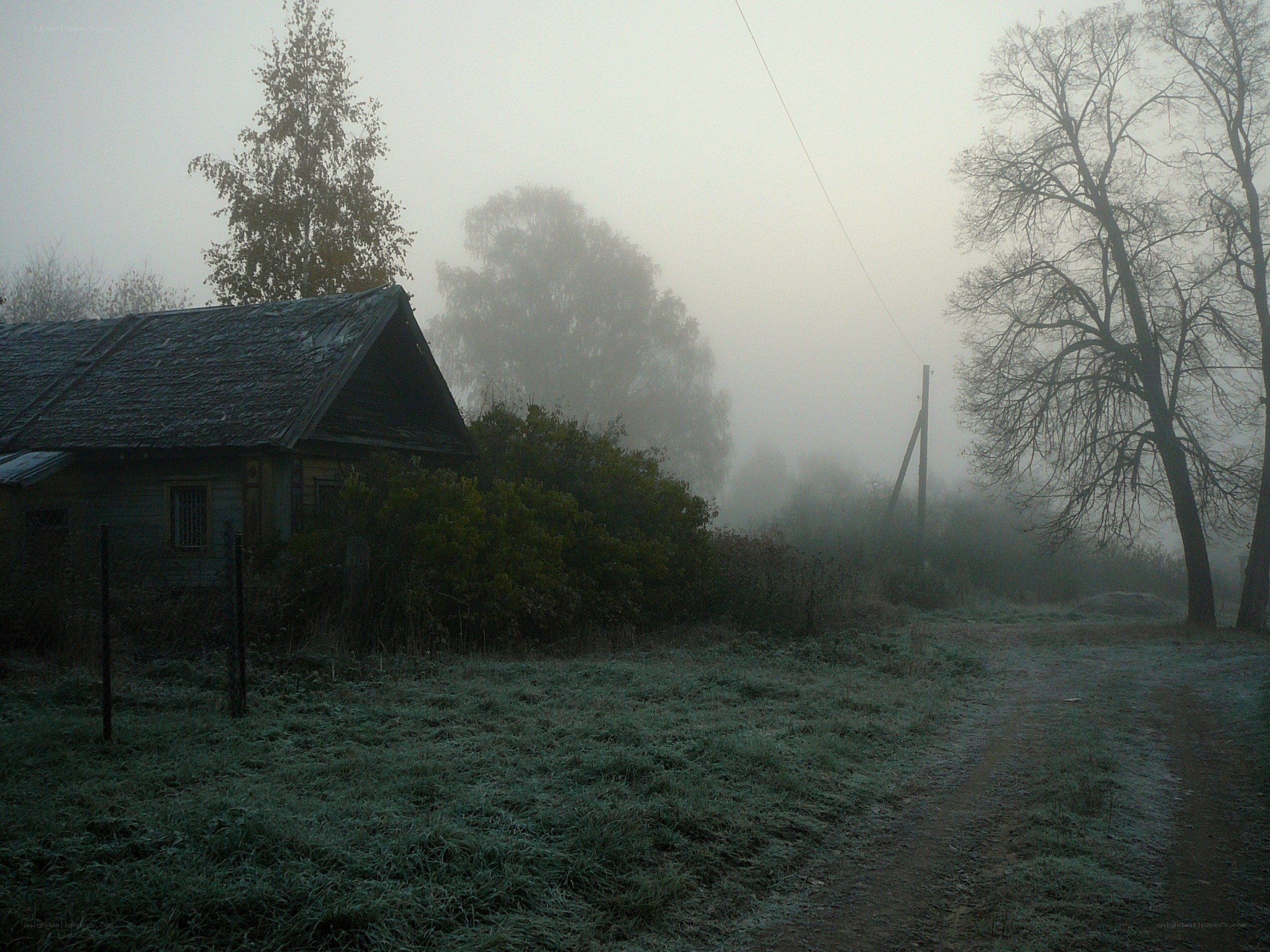 Foggy rural house on a frosty morning