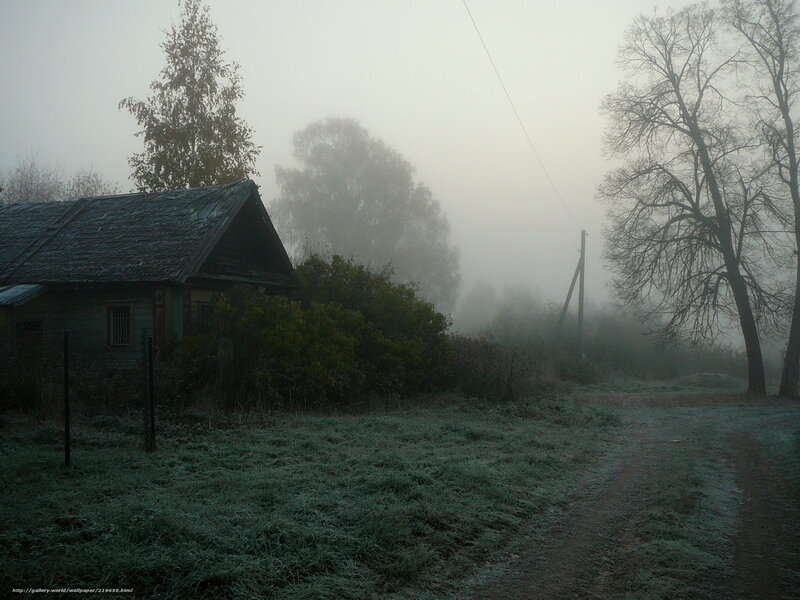 Foggy rural house on a frosty morning