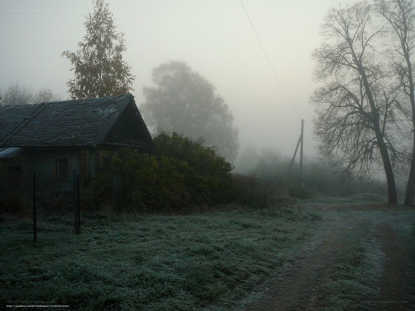 Foggy rural house on a frosty morning