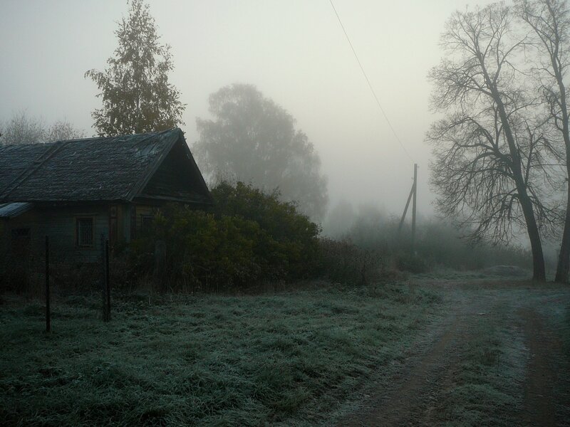 Foggy Rural House
