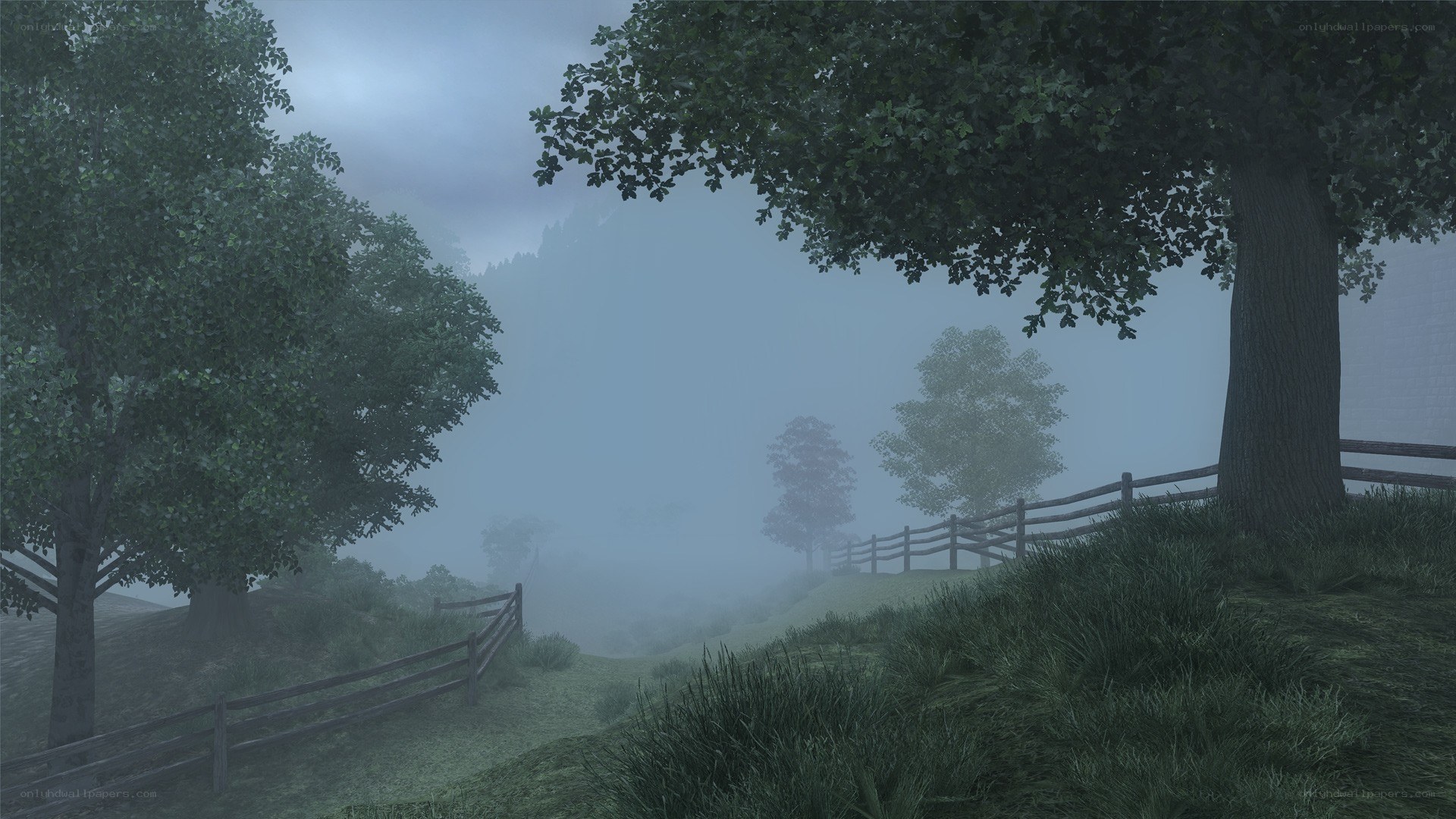 foggy rural landscape