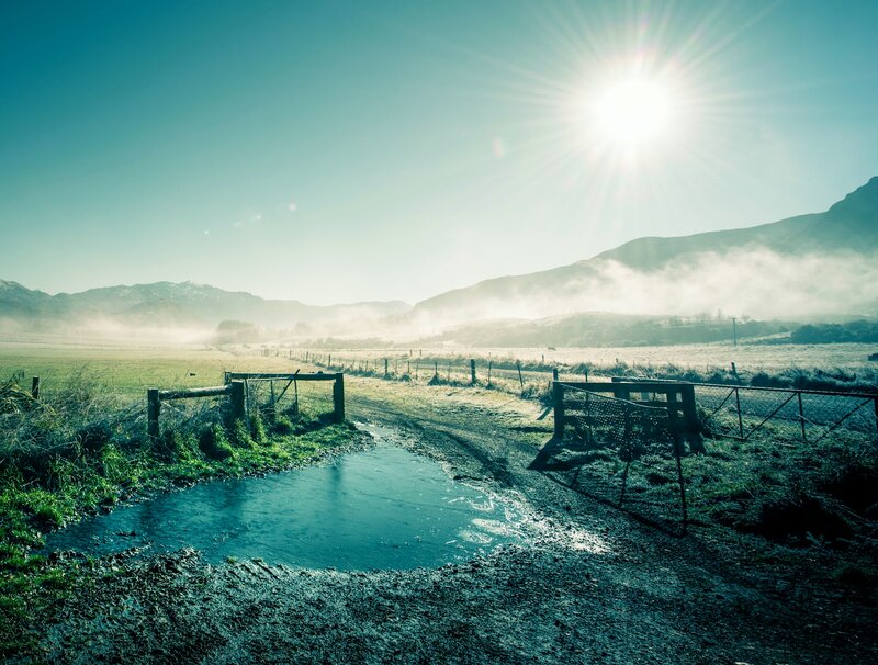 Foggy Rural Landscape — Blue